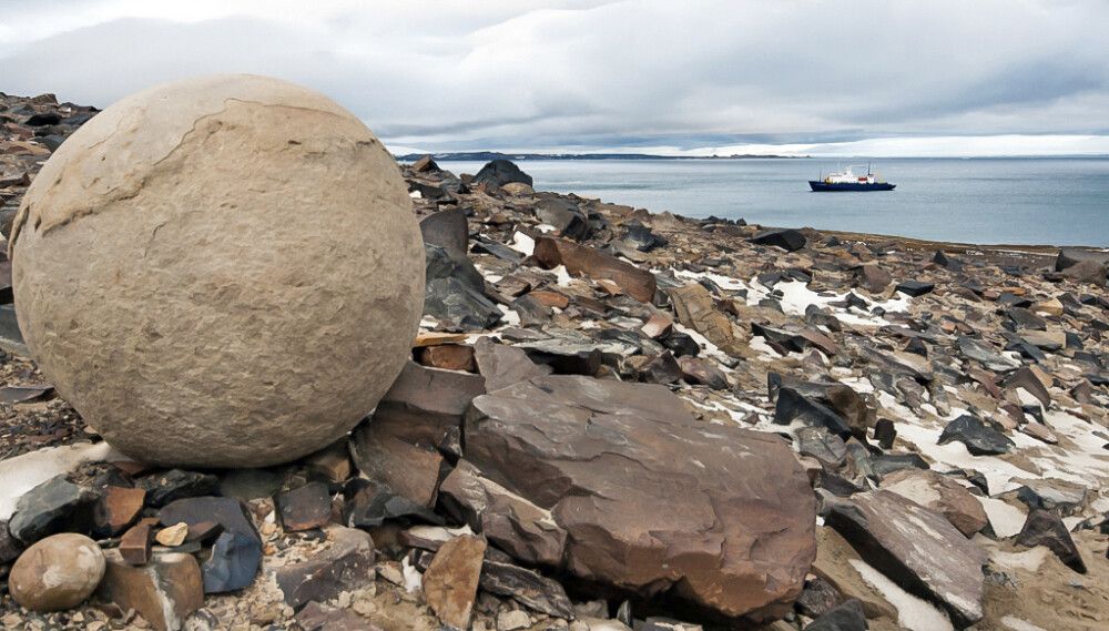 Russland Wrangel Island • Sibirische Inseln • FranzJosefLand